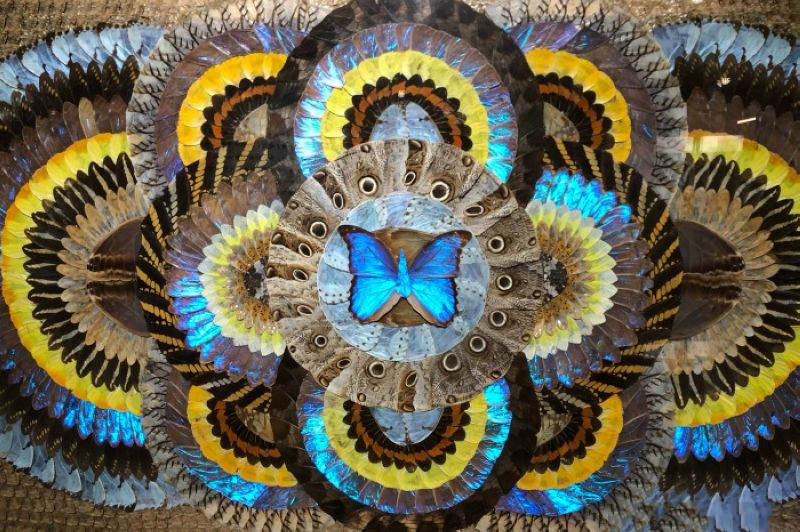 Shanghai Insect Museum 